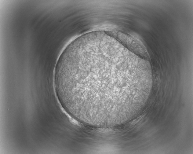 X0000055991103200509162245