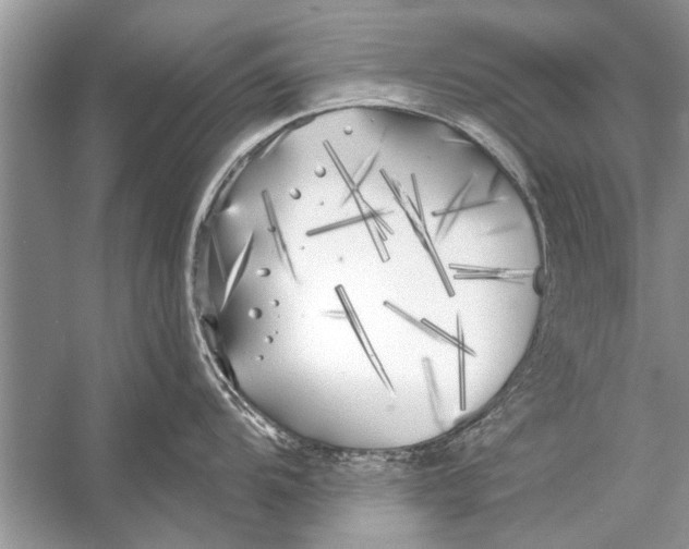 X0000055991104200509162245