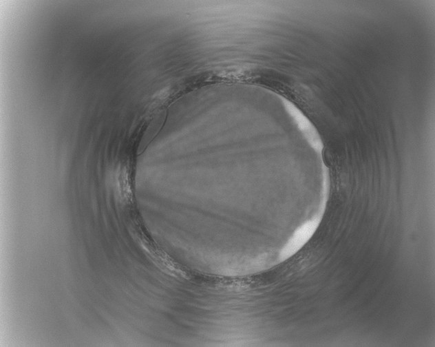 X0000055991106200509162244