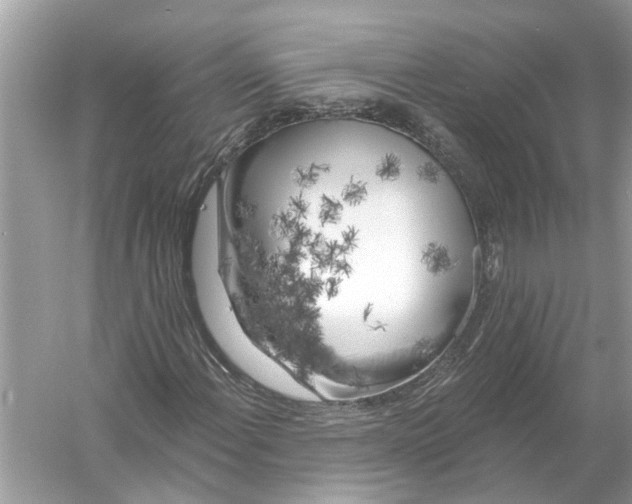 X0000055991108200509162244