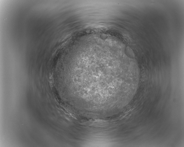 X0000055991109200509162244