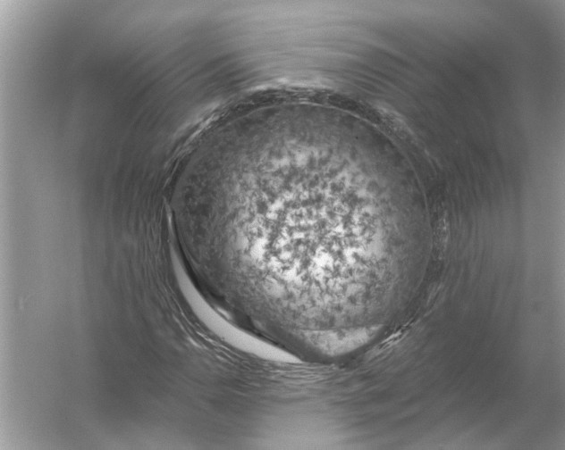 X0000055991110200509162244