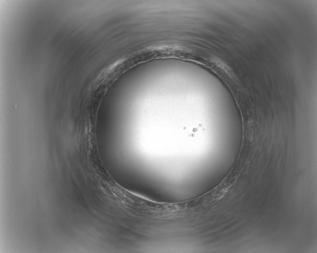 X0000055991111200509162244