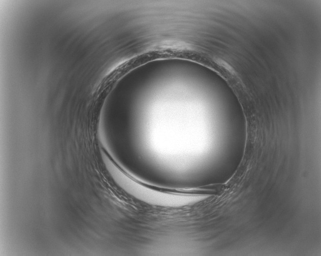 X0000055991112200509162244