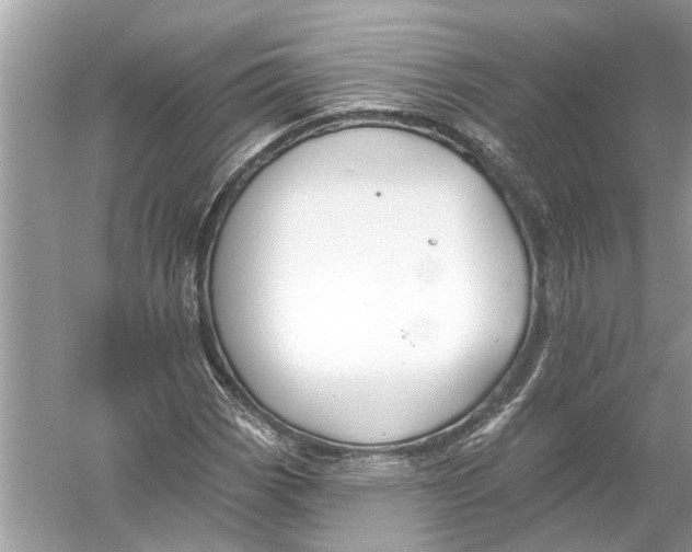 X0000055991113200509162244