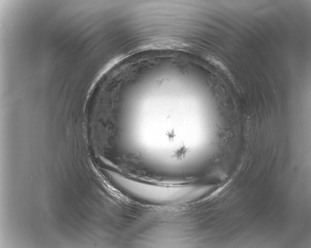 X0000055991114200509162244