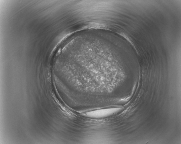 X0000055991115200509162244