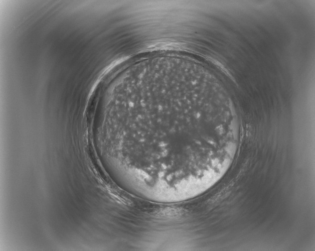 X0000055991117200509162244