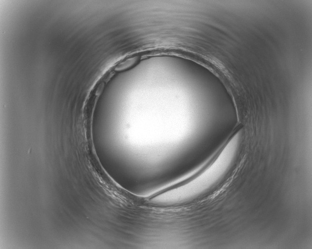 X0000055991118200509162244