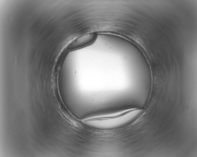 X0000055991119200509162244