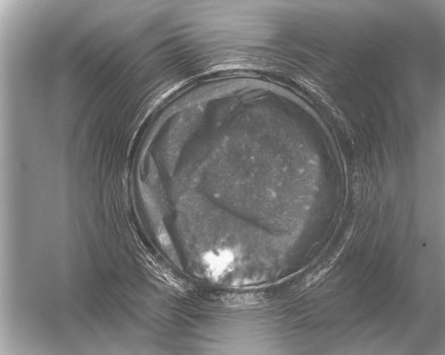 X0000055991121200509162244