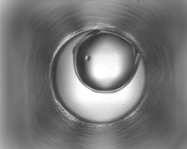 X0000055991122200509162244