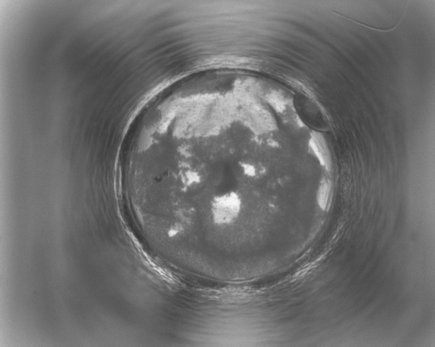 X0000055991125200509162244