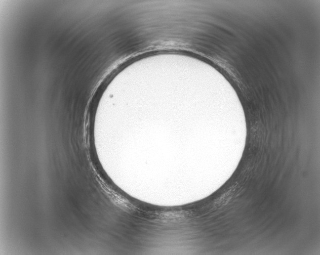 X0000055991126200509162244