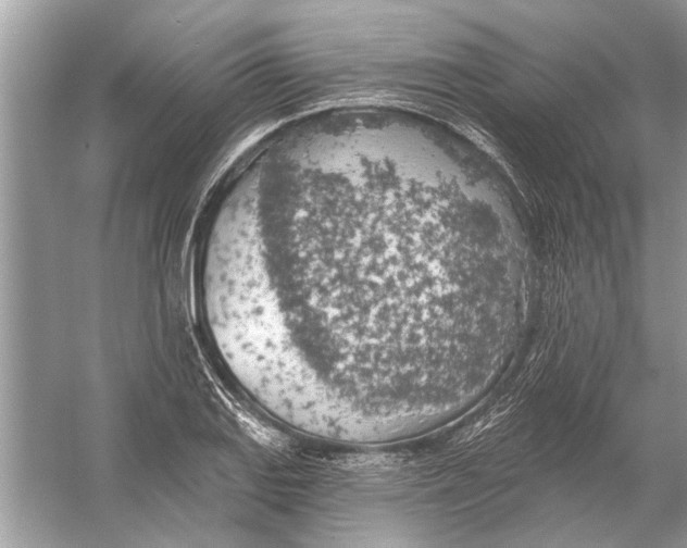 X0000055991127200509162244