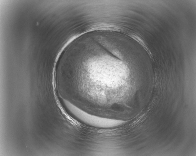 X0000055991128200509162244