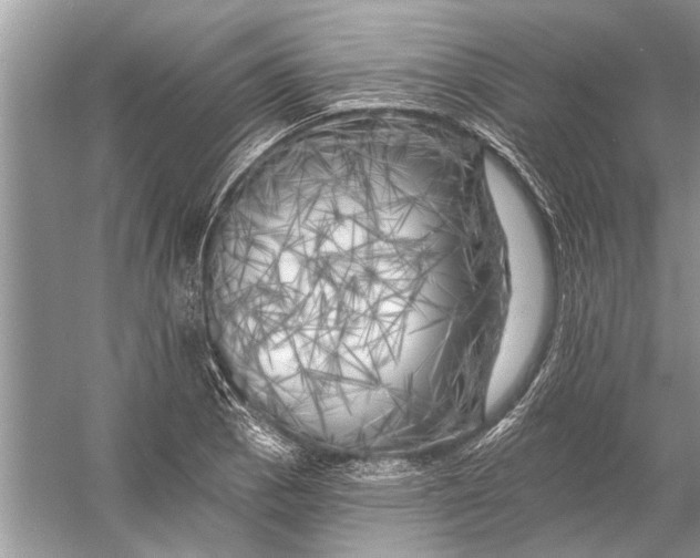 X0000055991129200509162244