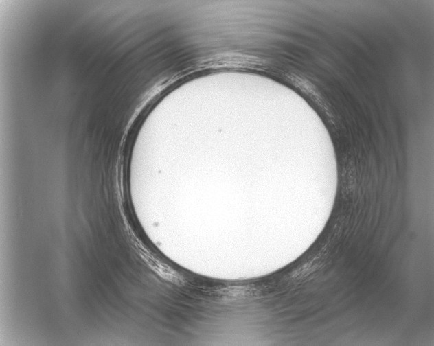 X0000055991130200509162244