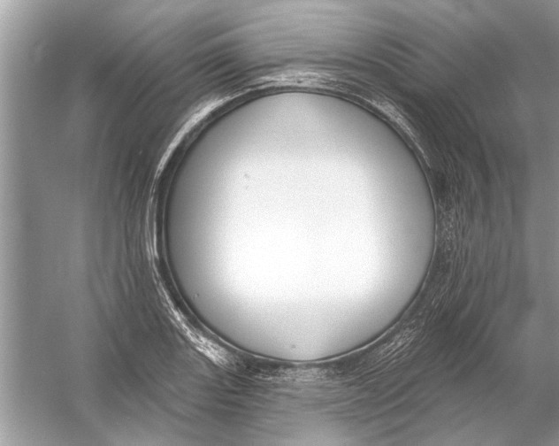 X0000055991131200509162244