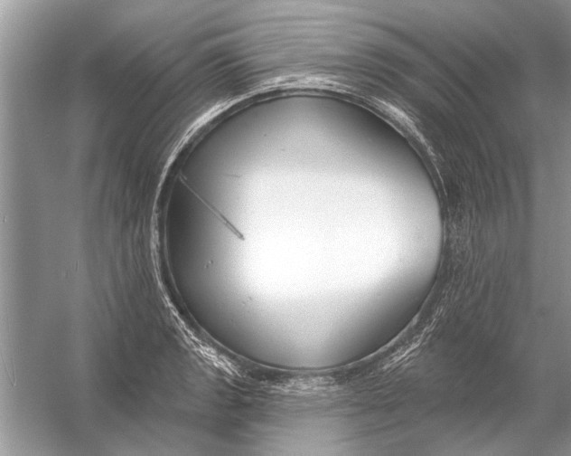 X0000055991133200509162244