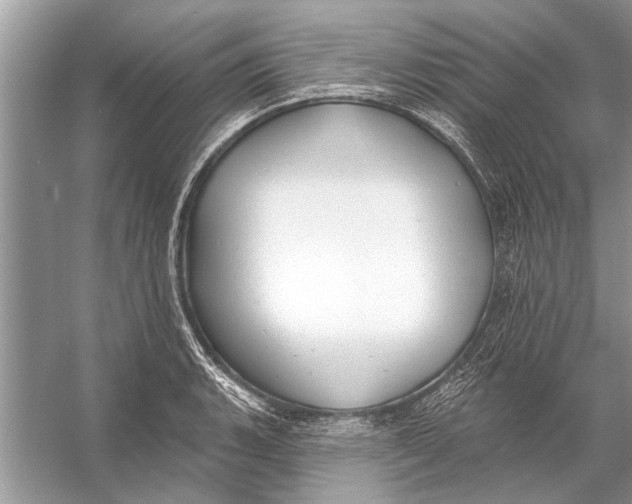 X0000055991135200509162244