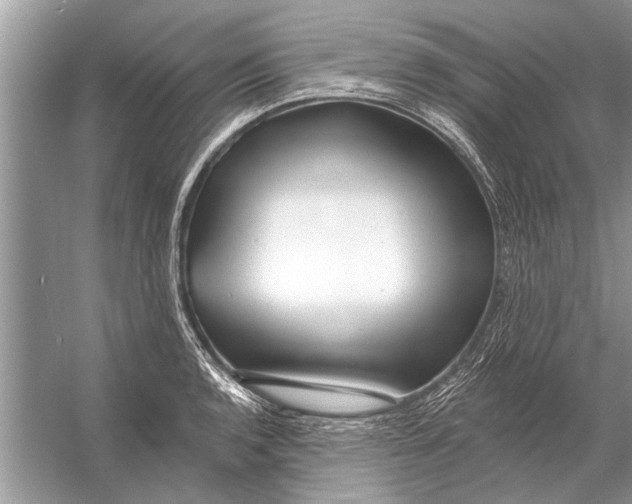 X0000055991136200509162245