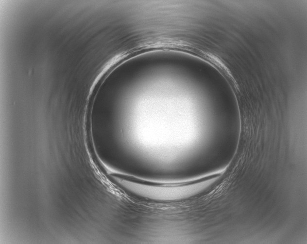 X0000055991138200509162245