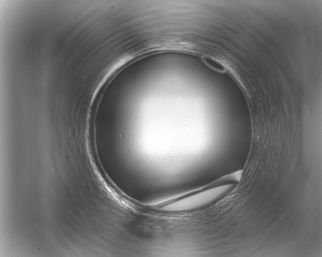 X0000055991139200509162245