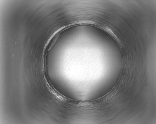 X0000055991140200509162245