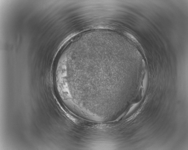 X0000055991141200509162245