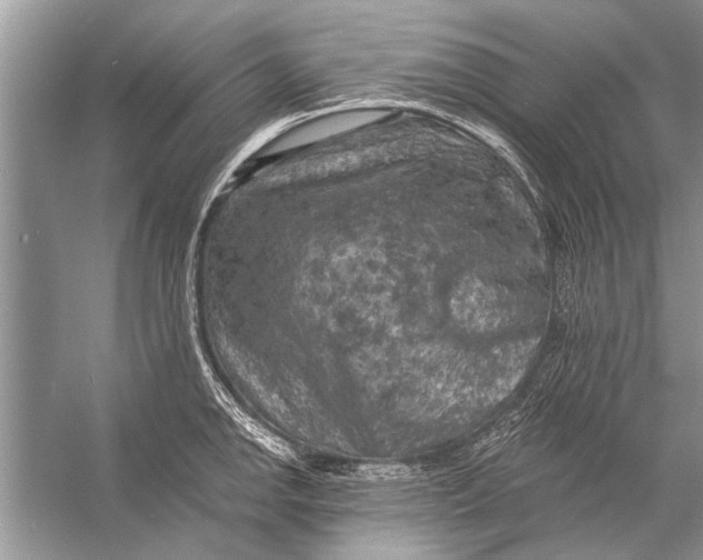 X0000055991142200509162245