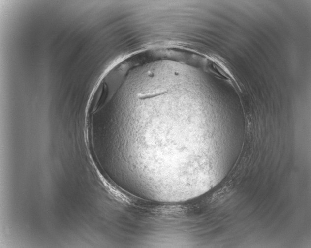 X0000055991143200509162245