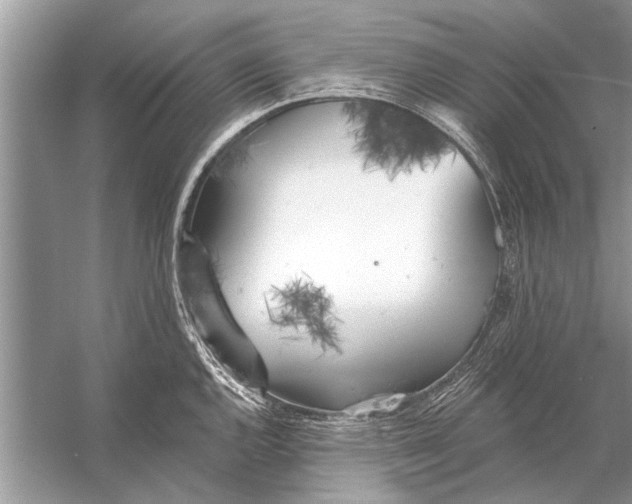 X0000055991144200509162245