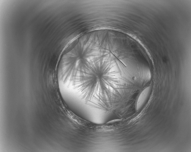 X0000055991145200509162245