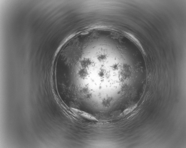 X0000055991146200509162245