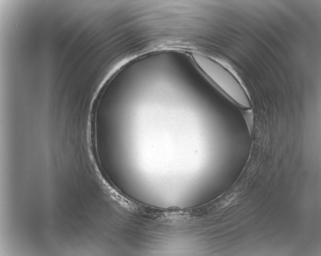 X0000055991147200509162245