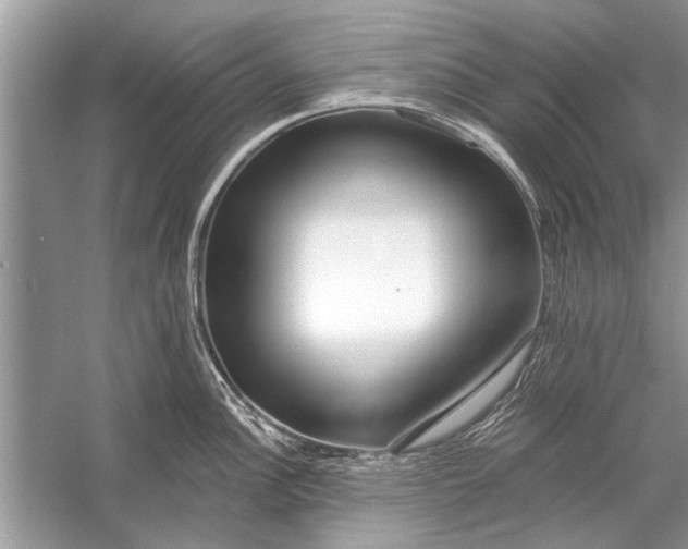 X0000055991148200509162245