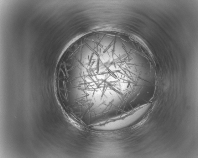 X0000055991149200509162245