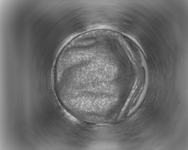 X0000055991151200509162245