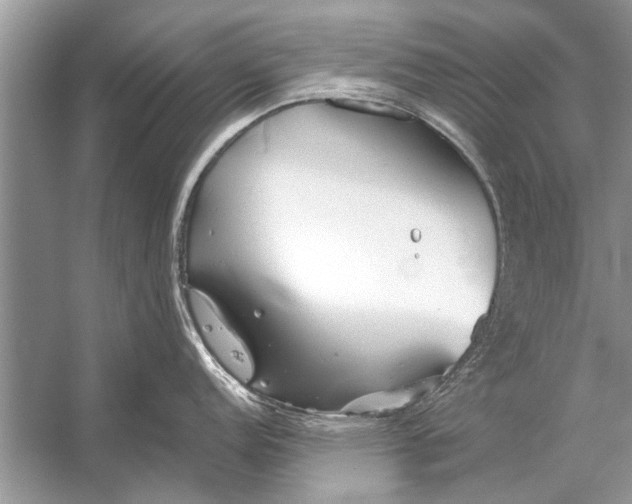 X0000055991152200509162245