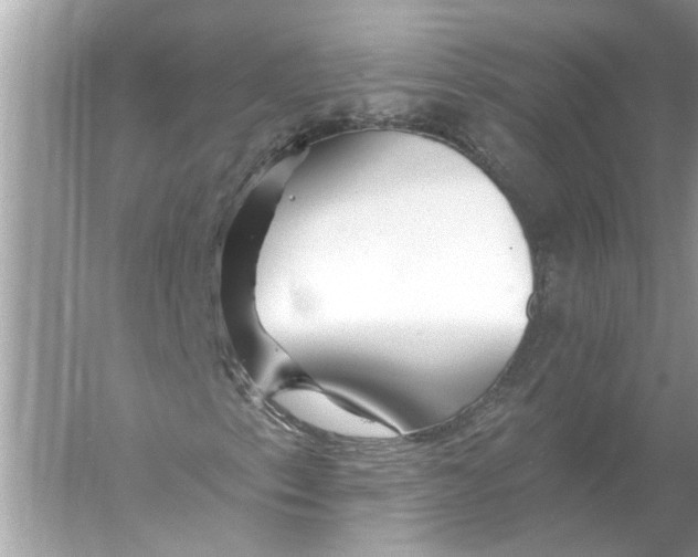 X0000055991153200509162244