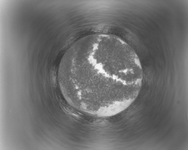 X0000055991154200509162244