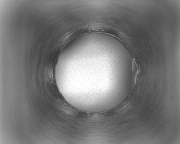 X0000055991155200509162244