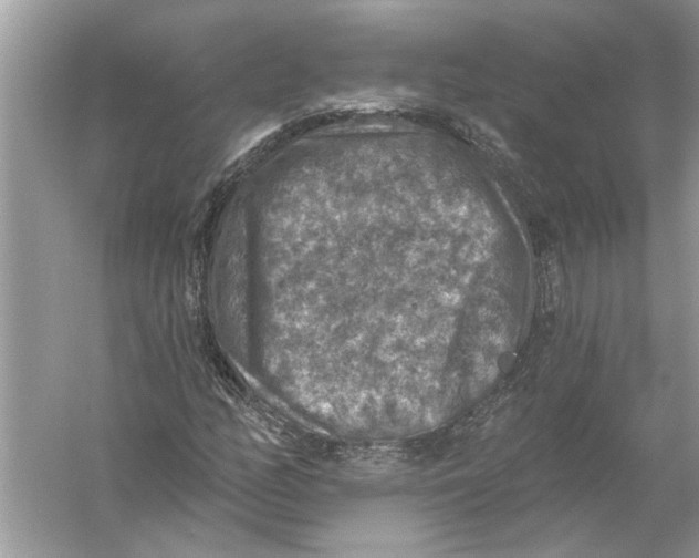 X0000055991158200509162244