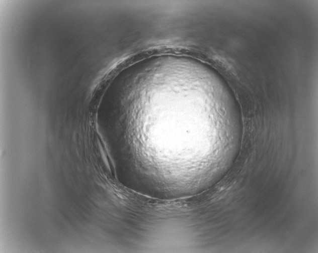 X0000055991159200509162244