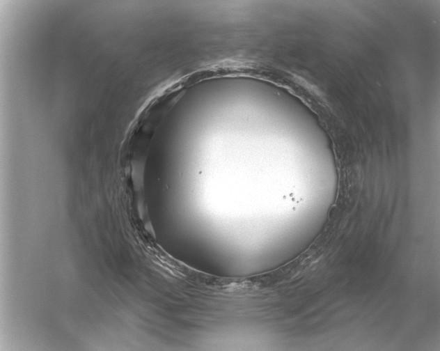 X0000055991160200509162244