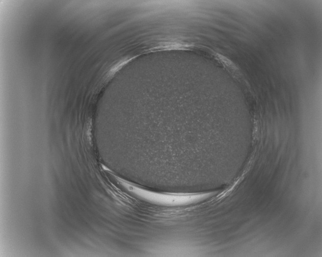 X0000055991161200509162244