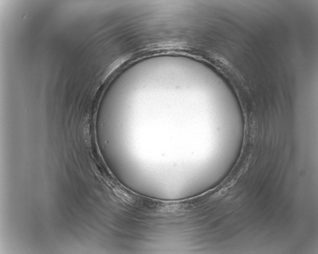 X0000055991162200509162244