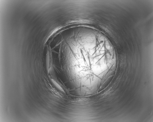 X0000055991163200509162244