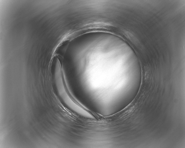 X0000055991164200509162244